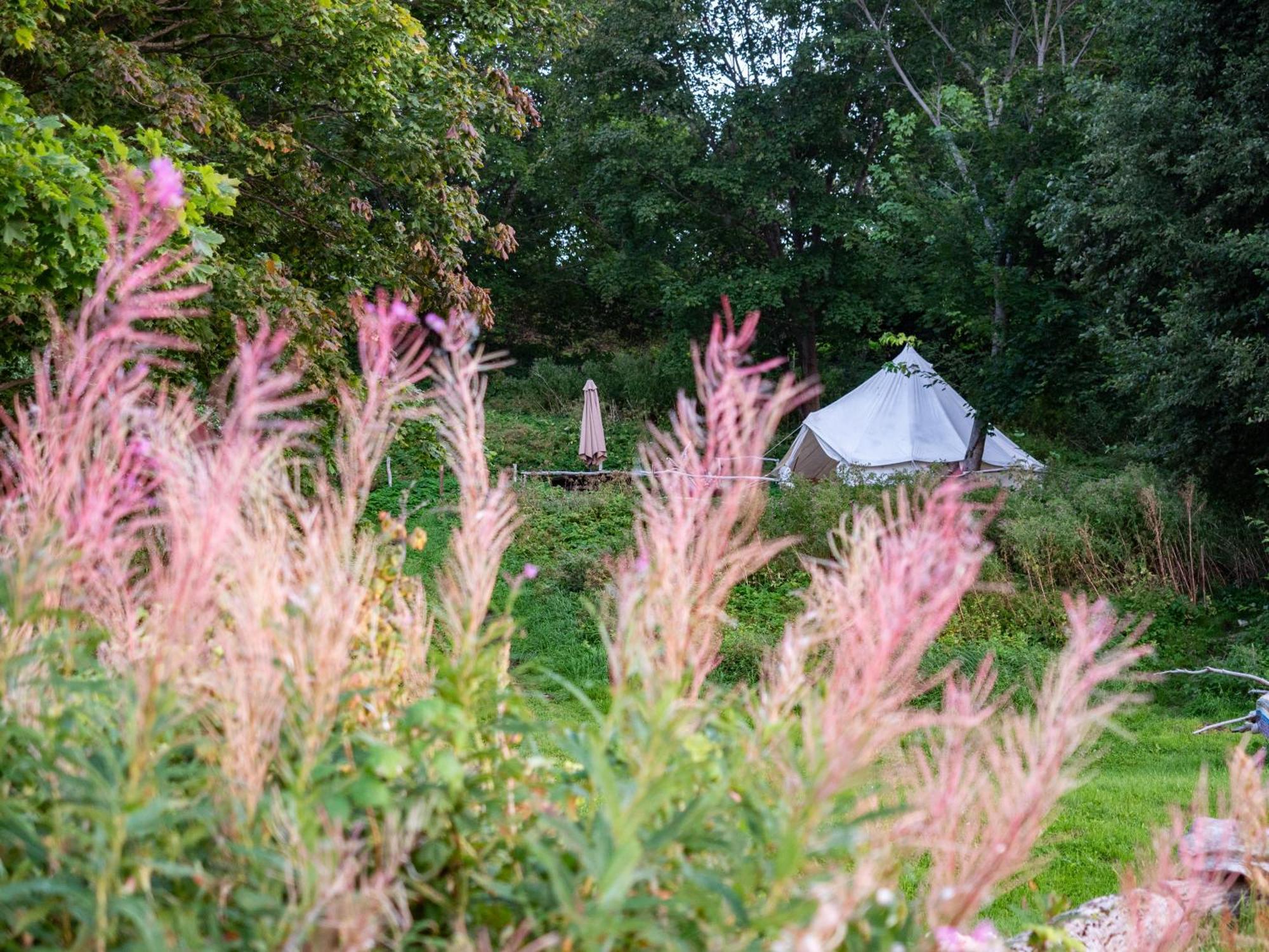 Liimala Mereaeaere Glamping Ja Rannamaja מראה חיצוני תמונה
