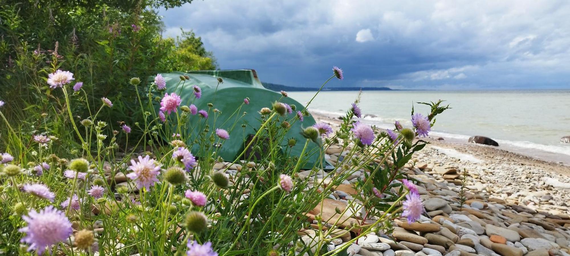 Liimala Mereaeaere Glamping Ja Rannamaja מראה חיצוני תמונה
